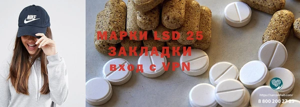хмурый Алзамай