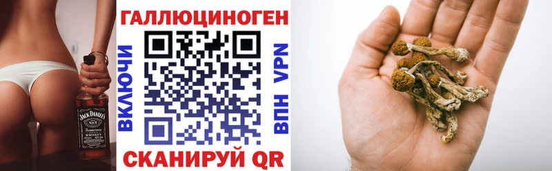 Псилоцибиновые грибы GOLDEN TEACHER Мамоново